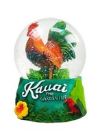 KC Hawaii Kauai Water Globe