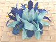 Sky & Blue Orchid Spider Lily Hair Clip 5"