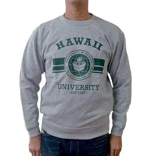 【STUSSY】 Honolulu chapter 限定 トレーナー