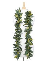 Two-Tone Green Hawaii Maile Double Open Lei