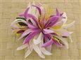 Lavender &amp; White Small Spider Lily Hair Clip 4.5&quot;