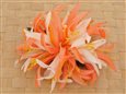 Orange &amp; White Large Spider Lily Hair Clip 6&quot;