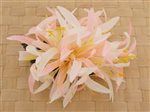 Pink & White Large Spider Lily Hair Clip 6"