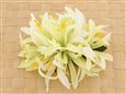 Green &amp; White Large Spider Lily Hair Clip 6&quot;
