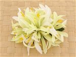 Green & White Large Spider Lily Hair Clip 6"
