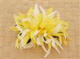 LemonYellow &amp; White Large Spider Lily Hair Clip 6&quot;
