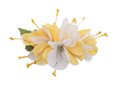 Yellow/White Large Kahili Ginger Hair Clip 4&quot;