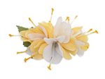 Yellow/White Large Kahili Ginger Hair Clip 4"