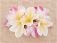 Yellow &amp; Pink Large Plumeria Hair Clip 5.5&quot;