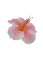 Light Pink Jumbo Hibiscus Hair Clip 6.5&quot;