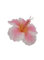Light Pink Jumbo Hibiscus Hair Clip 6.5"