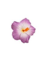 Purple/White Medium Hibiscus Hair Clip 3.5"