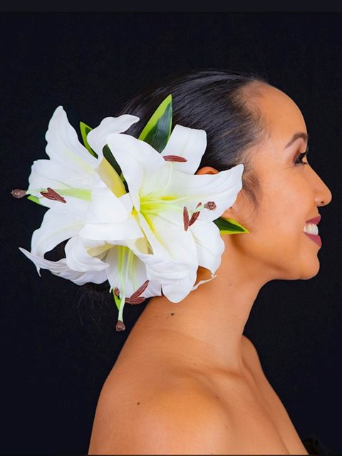 Lily hair clip best sale
