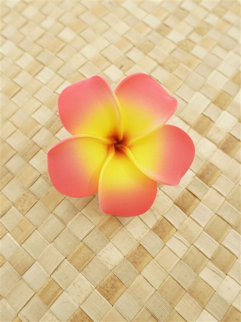 フォームプルメリア ヘアクリップ 約7.5cm [イエロー/ピンク