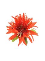 Red Lehua & Spider Lily Hair Clip 5"