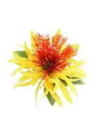 Yellow Lehua & Spider Lily Hair Clip 5"